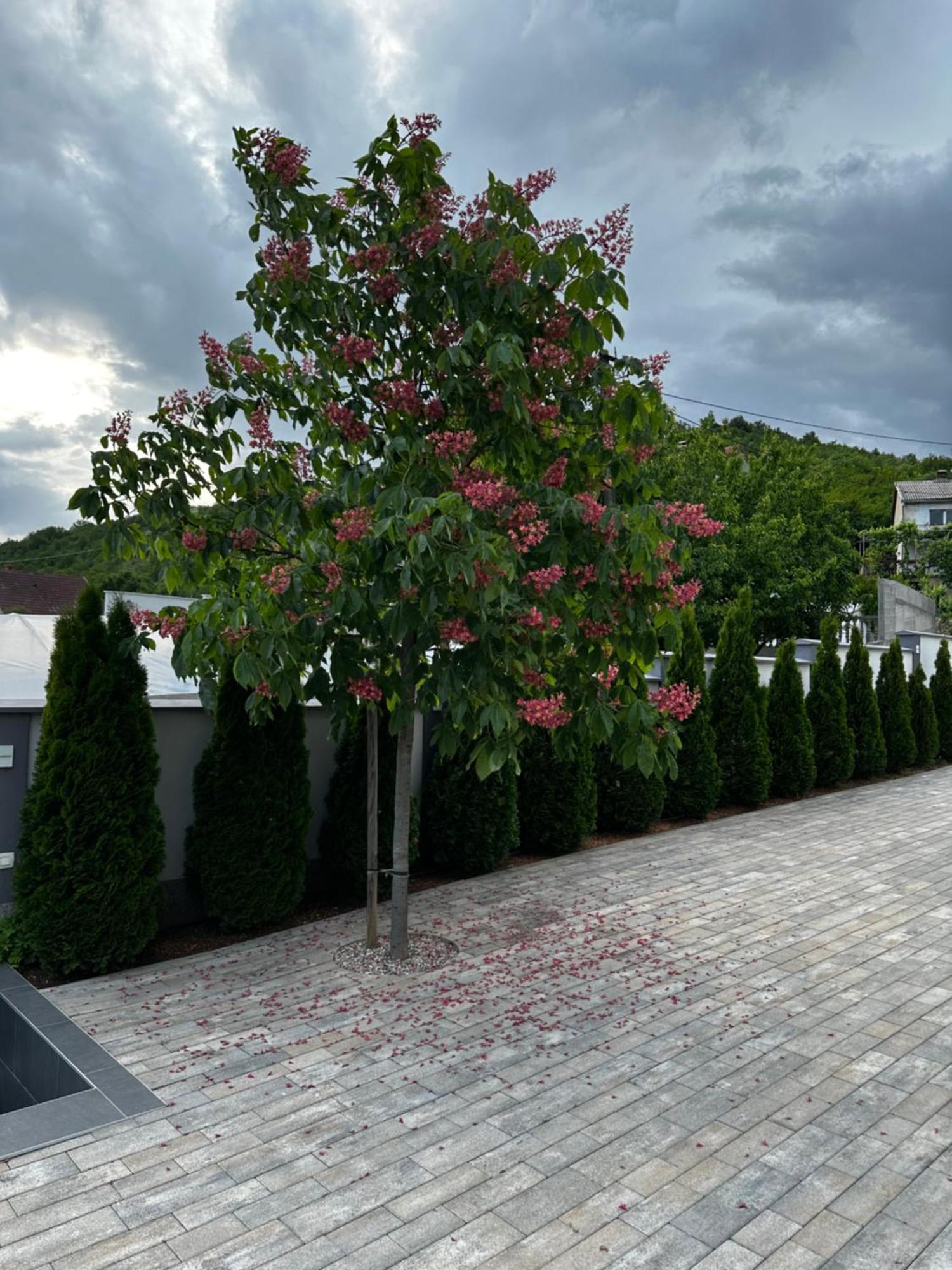 Luxury Villa Magic Kosor Exterior foto